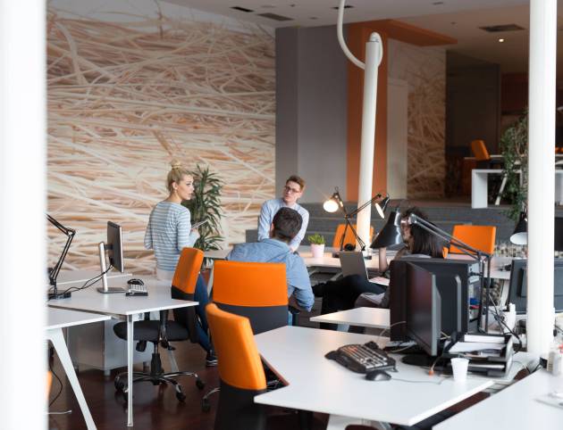 Group of a young business people discussing business plan  in the office